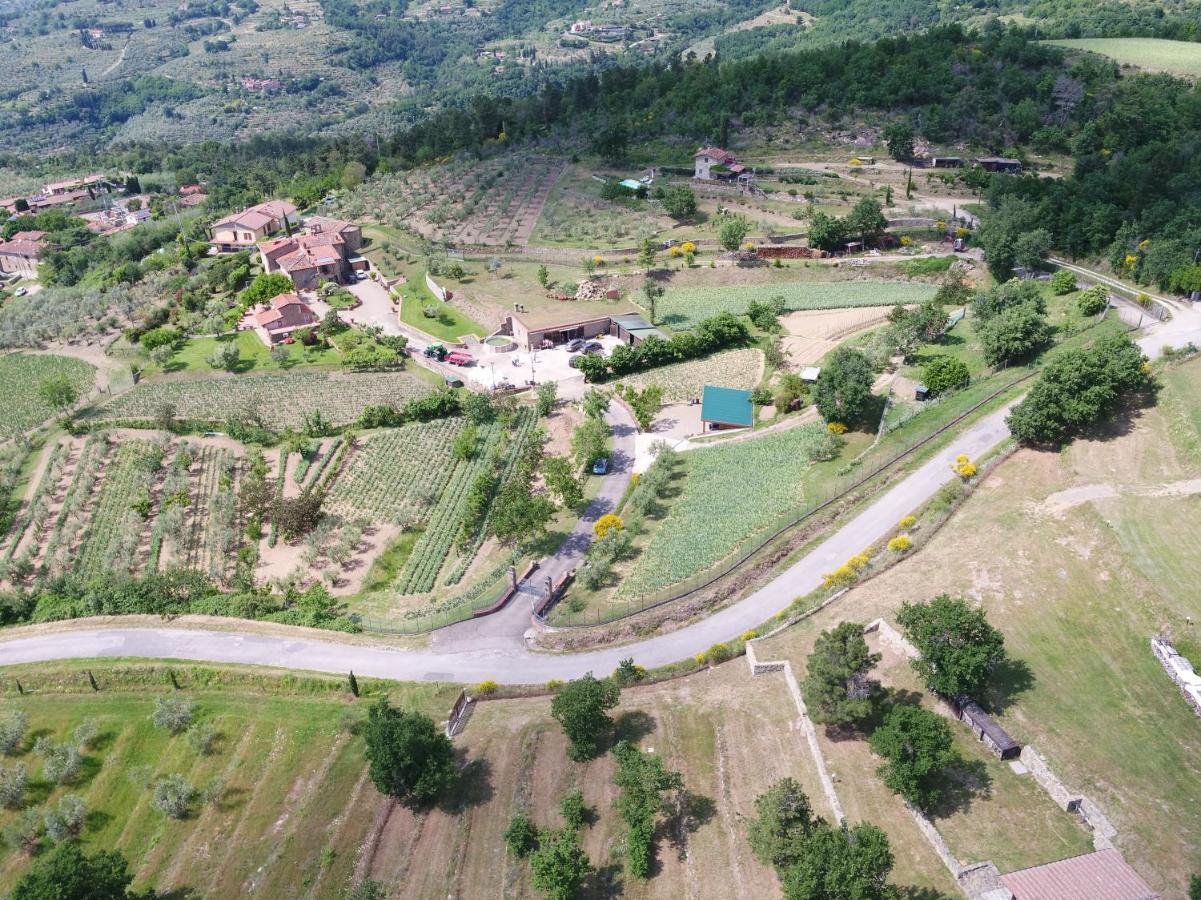 Agriturismo Villa Iris Castelfranco di Sopra Dış mekan fotoğraf